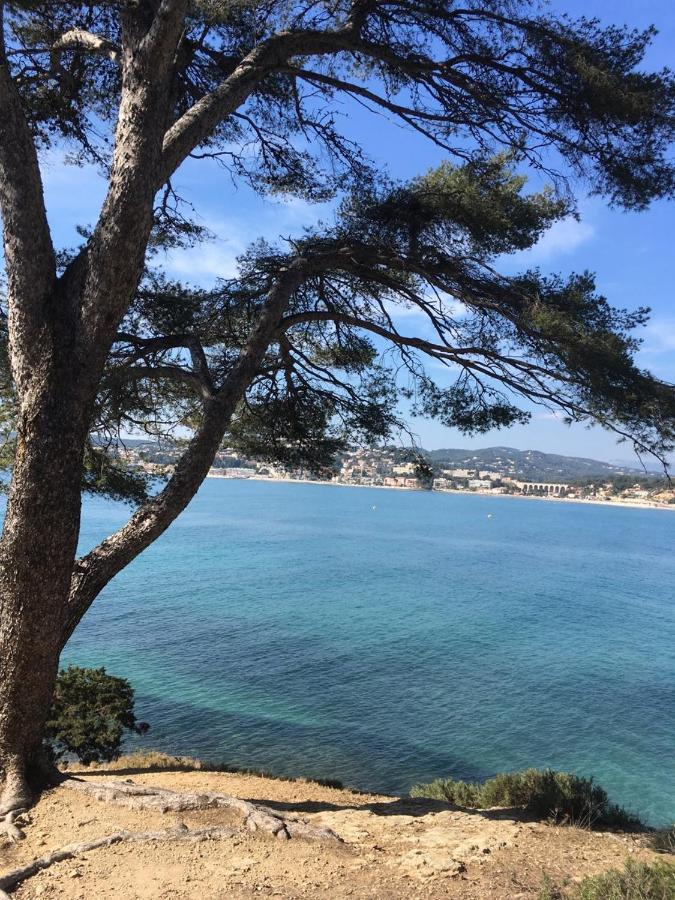 Les Galets De Sanary - Vue Mer Esterno foto