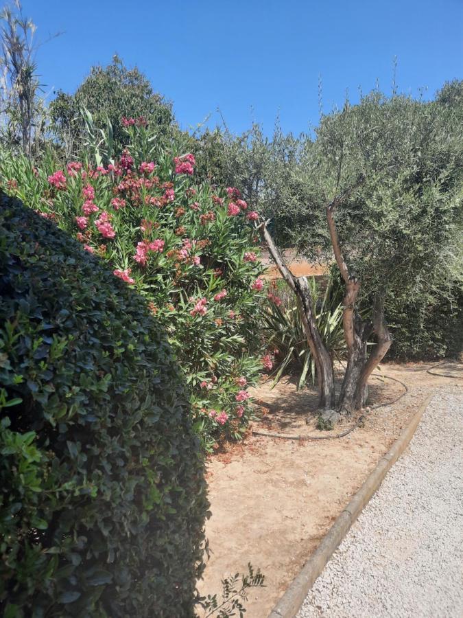 Les Galets De Sanary - Vue Mer Esterno foto